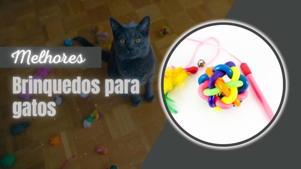 Melhores Brinquedos Para Gatos