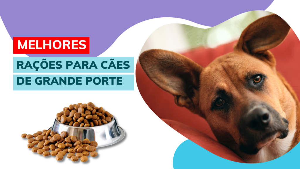 Melhores Rações para Cães de Grande Porte