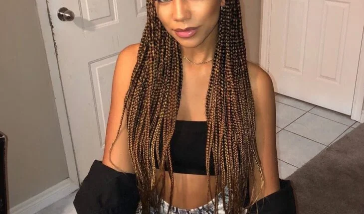 tranca-box-braids-8-dicasdemulher.webp