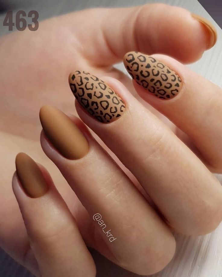 Imagem Com Unhas Amendoadas Animal Print 