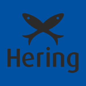 Logo Representando O Site Hering