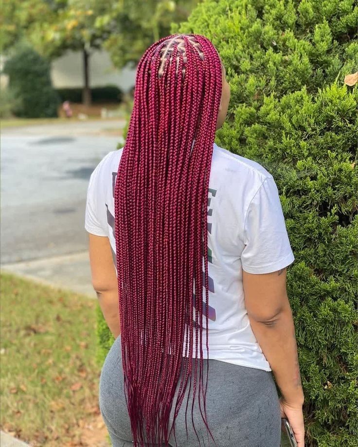 Imagem com box braids rosa escuro