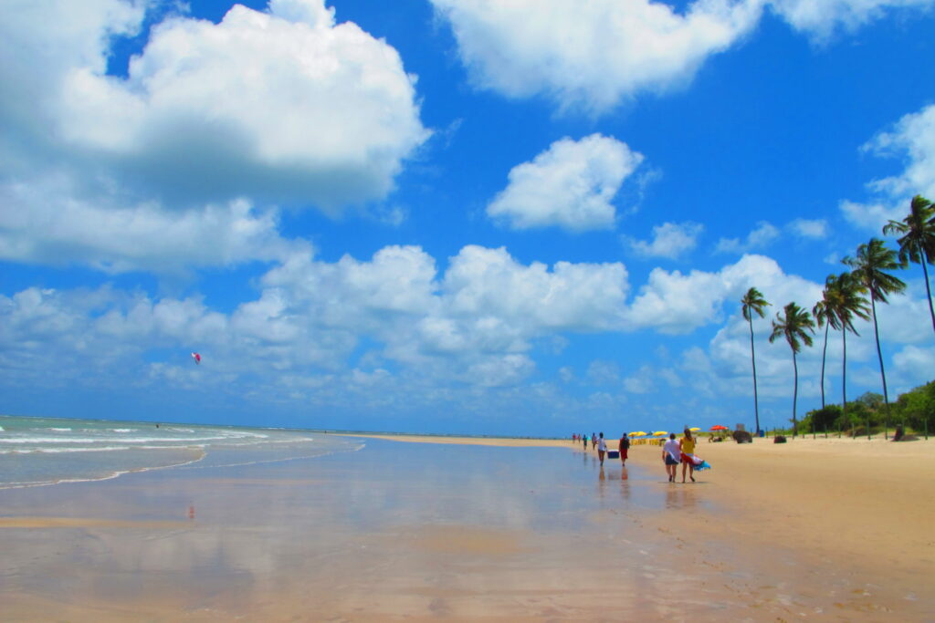 Imagem com Praia de Pontal de Maracaípe