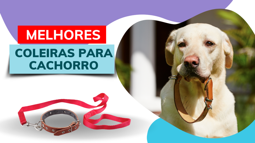 Melhores Coleiras para Cachorro