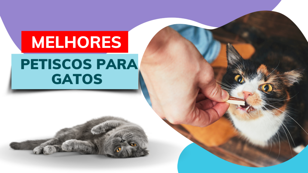 Melhores Petiscos para Gatos