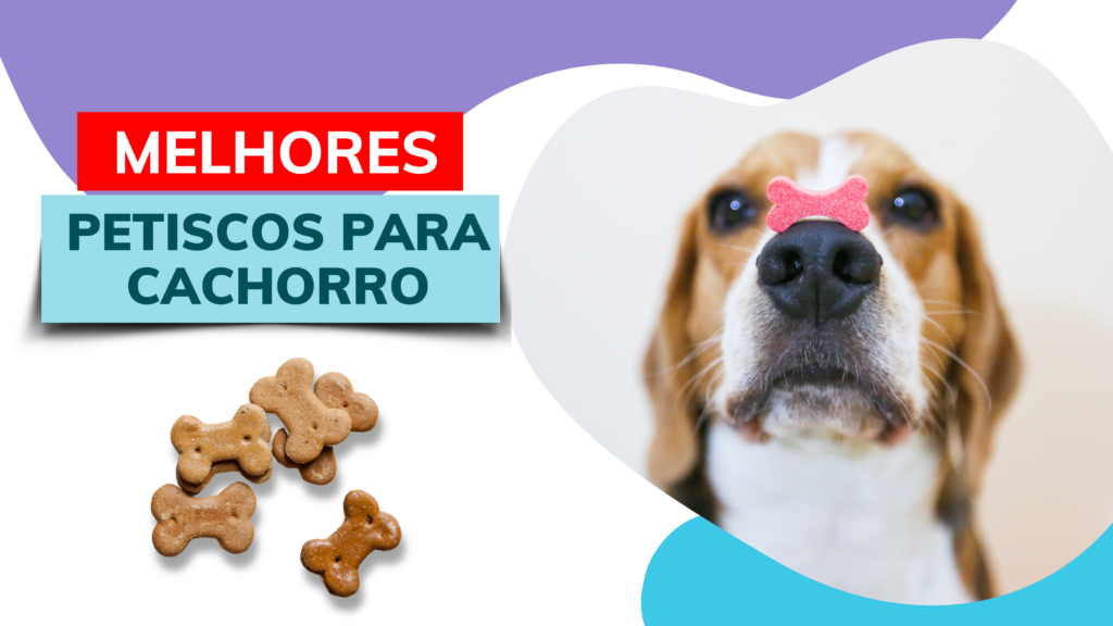 Melhores Petiscos para Cachorro