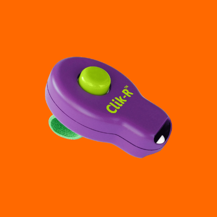 Adestrador Para Cães Clik-R - Petsafe Adestrador Para Cães Clik-R - Petsafe