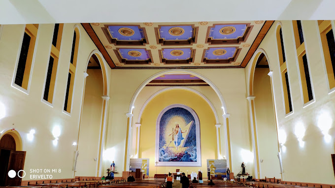 Imagem com Catedral de Chapecó