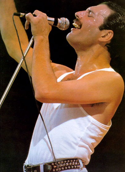 Freddie Mercury: Biografia, Filmes, Séries, Fatos E Mais!