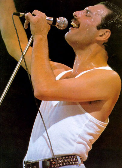 Freddie Mercury: Biografia, Filmes, Séries, Fatos e Mais!