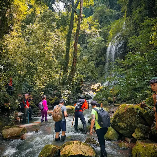 Imagem Com Cascata Do Gavião Faiado