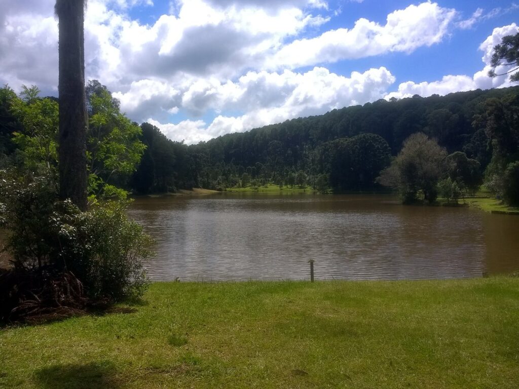 Imagem com FLONA - Floresta Nacional de Canela