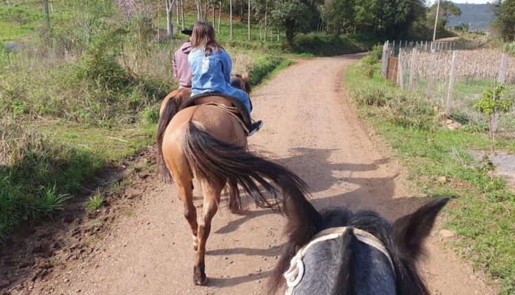 Imagem-com-Passeio-a-cavalo-no-Sitio-Banhado-Grande