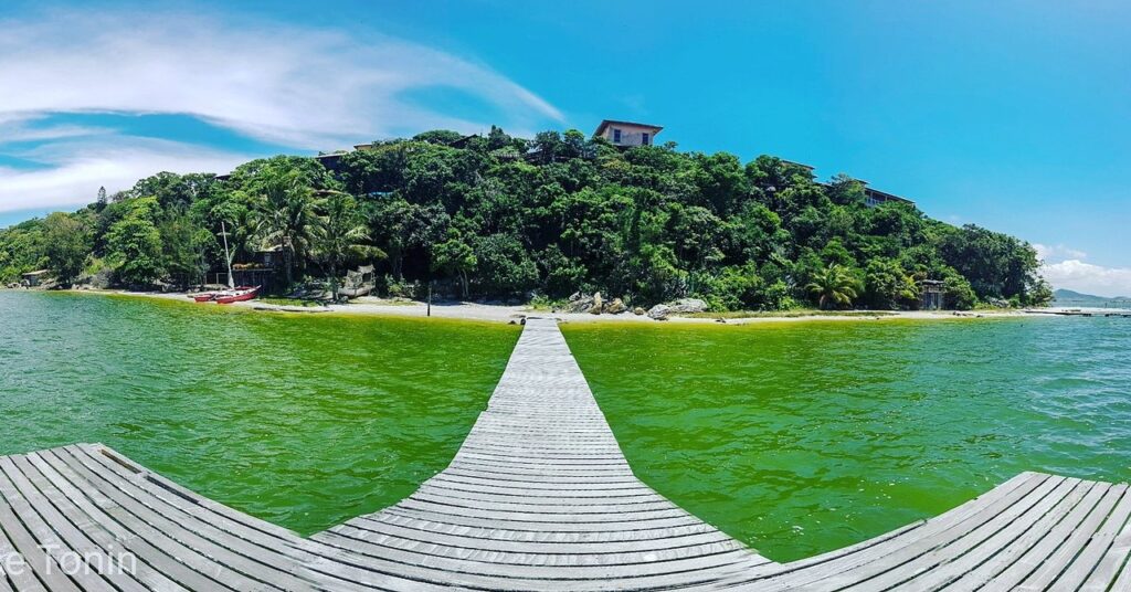 Imagem com Praia Ponta de Areia