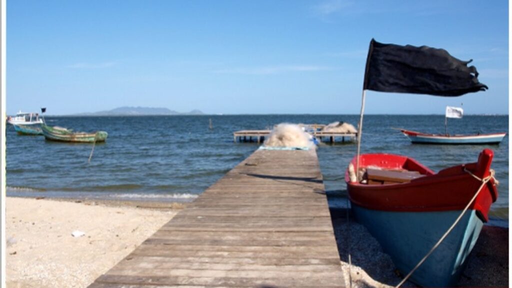 Imagem com Praia da Baleia