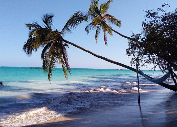 Imagem Com Praia Da Ponta Do Mangue 