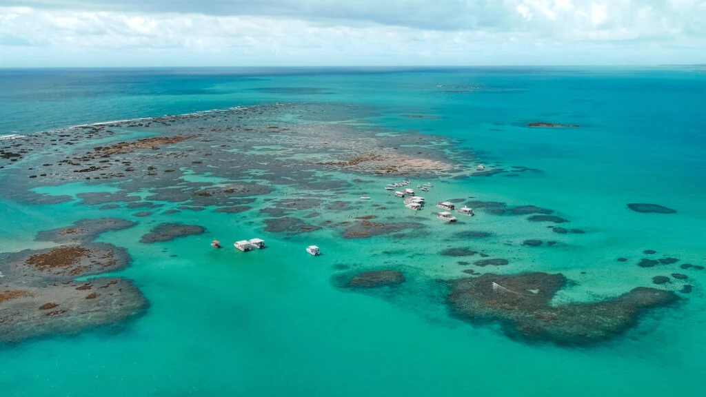 Imagem com Praia de Maragogi 