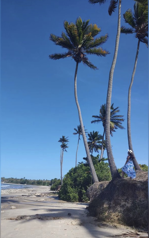 Imagem com Praia de Mundaú