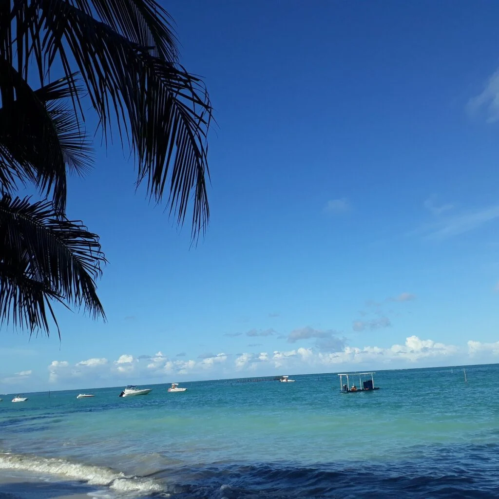 Imagem Com Praia De Peroba 