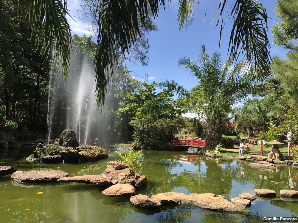 Imagem Com Jardim Japonês