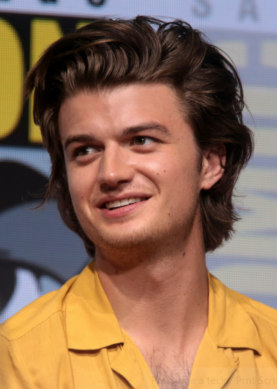 Joe Keery: Biografia, Filmes, Séries, Fatos E Mais!