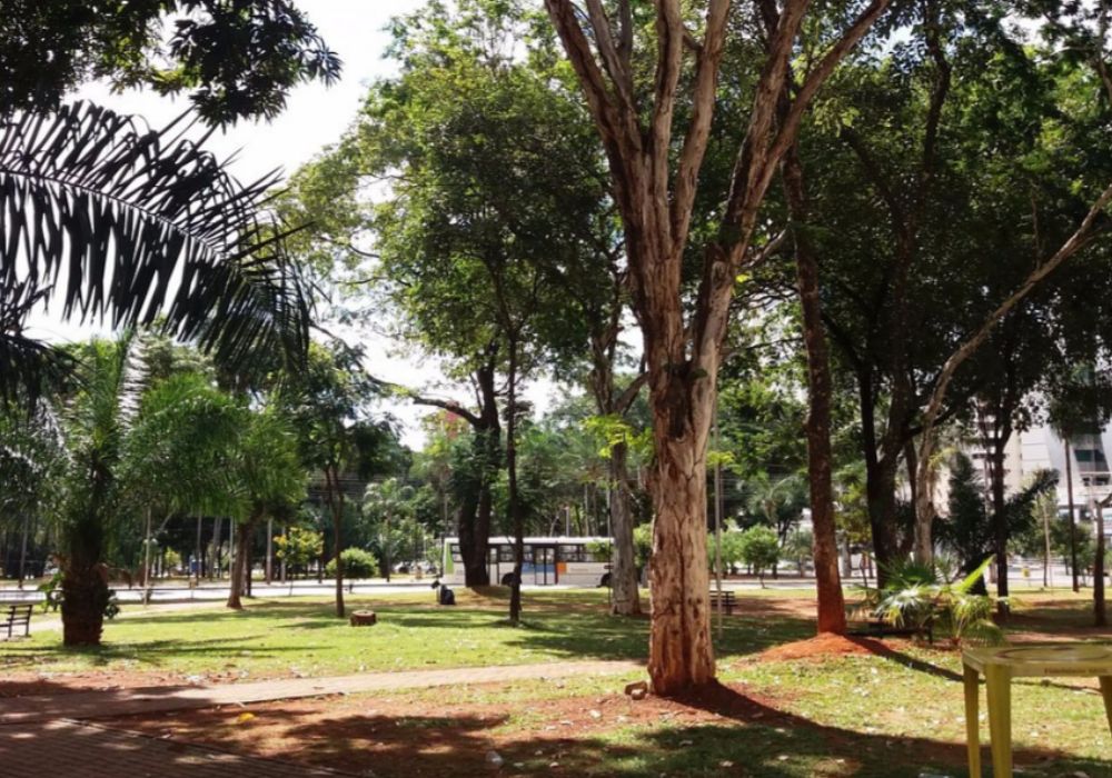 Imagem Com Praça Tamandaré