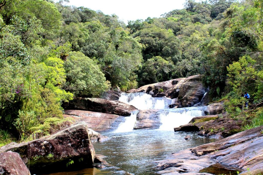 Imagem com Parque Estadual da Serra do Mar