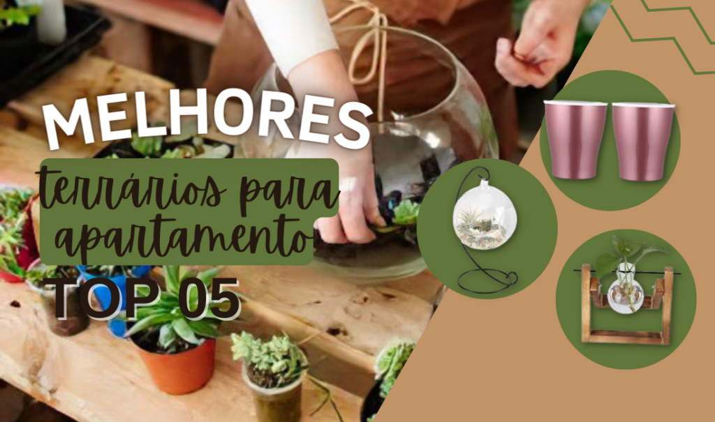 Melhores Terrários Para Apartamento: Top 6