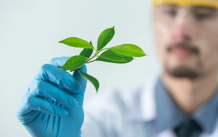 Produtos Naturais e Produtos Convencionais Produtos Naturais e Produtos Convencionais