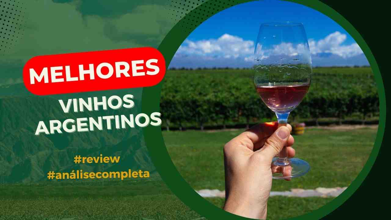 TOP 6 Melhores Vinhos Argentinos à Venda! (Malbec, Chardonnay) 2024