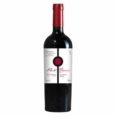 Melhores Vinhos Syrah: Top 5 Bebidas Dessa Bebida Encorpada! Imagem Com Vinho Syrah Punto Maximo Gran Reserva