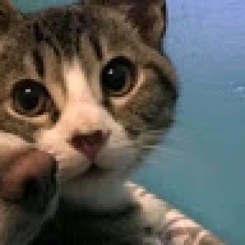 Enquete BBB22: Quem você quer ver no próximo paredão